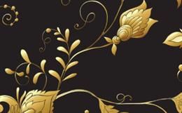 Zardozi - Golden embroideries with a touch of royalty